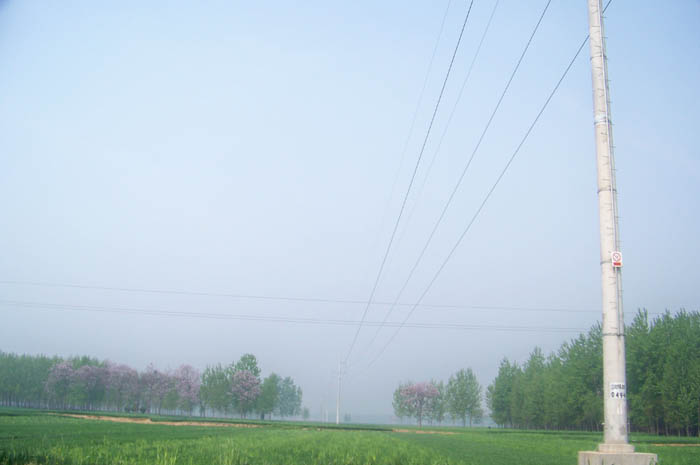商丘柘城张庄110KV270-24米输变电工程